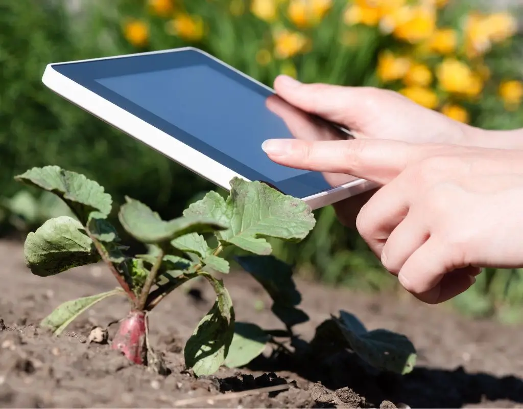 Tecnologia na Jardinagem: Dicas e Inovações