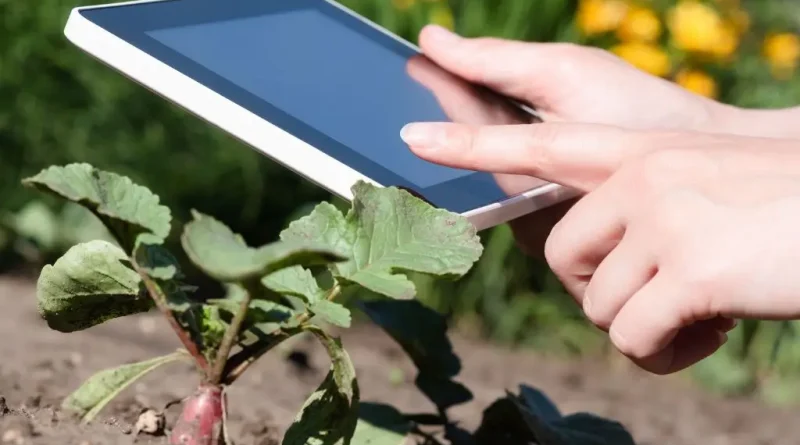 Tecnologia na Jardinagem: Dicas e Inovações